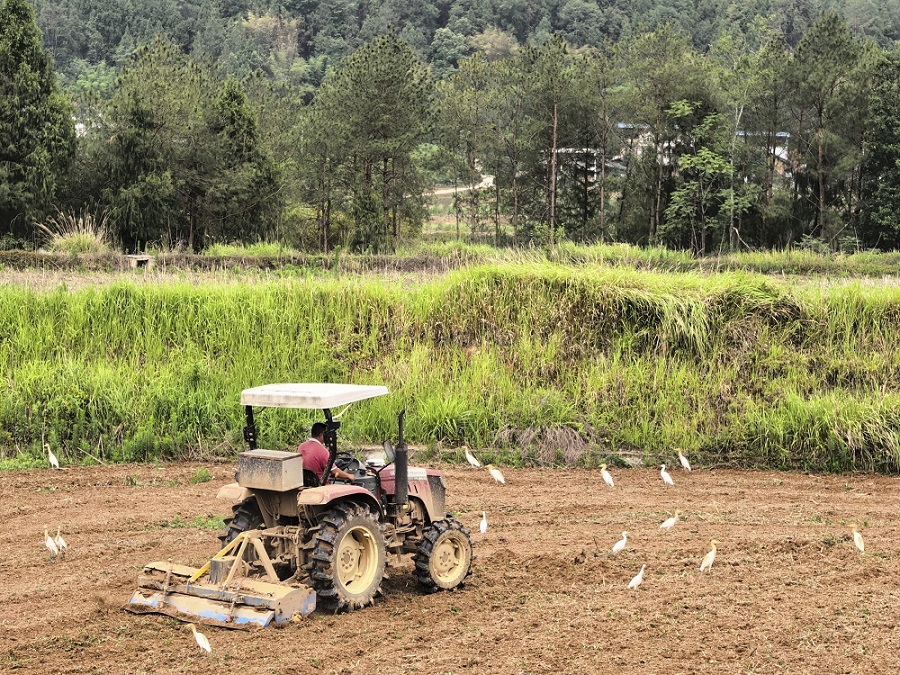 1751278915170836.jpg 20250626 青山书角-内文5.jpg